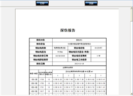 电梯蜜桃视频APP永远入口自动探伤系统检测报告